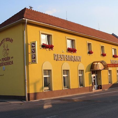 Penzion Zlaty Dukat Zvolenska Slatina Exterior photo